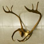 801 2251 REINDEER HORN